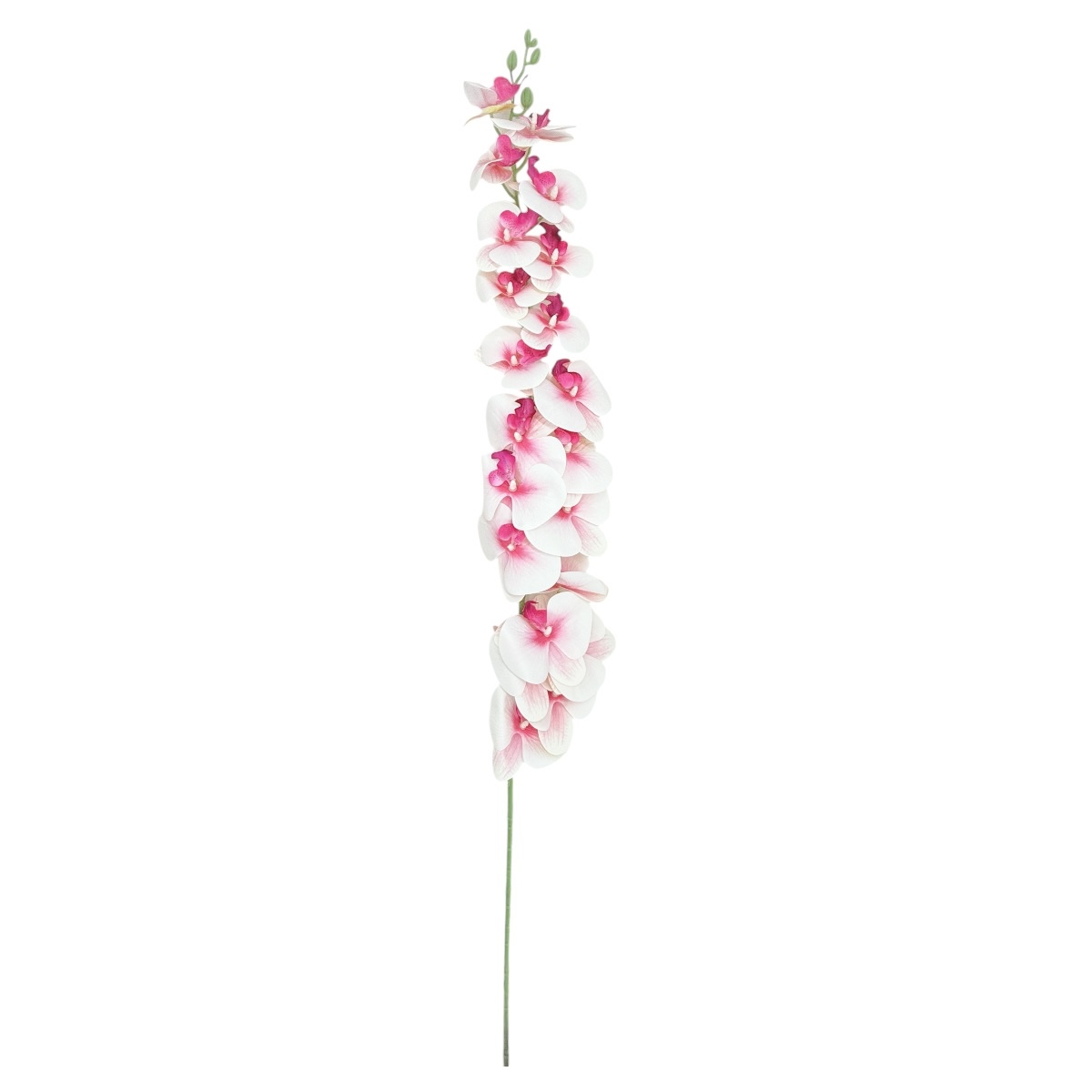 Orhidee Fir Realtouch Gigant Alb Siclam 135cm