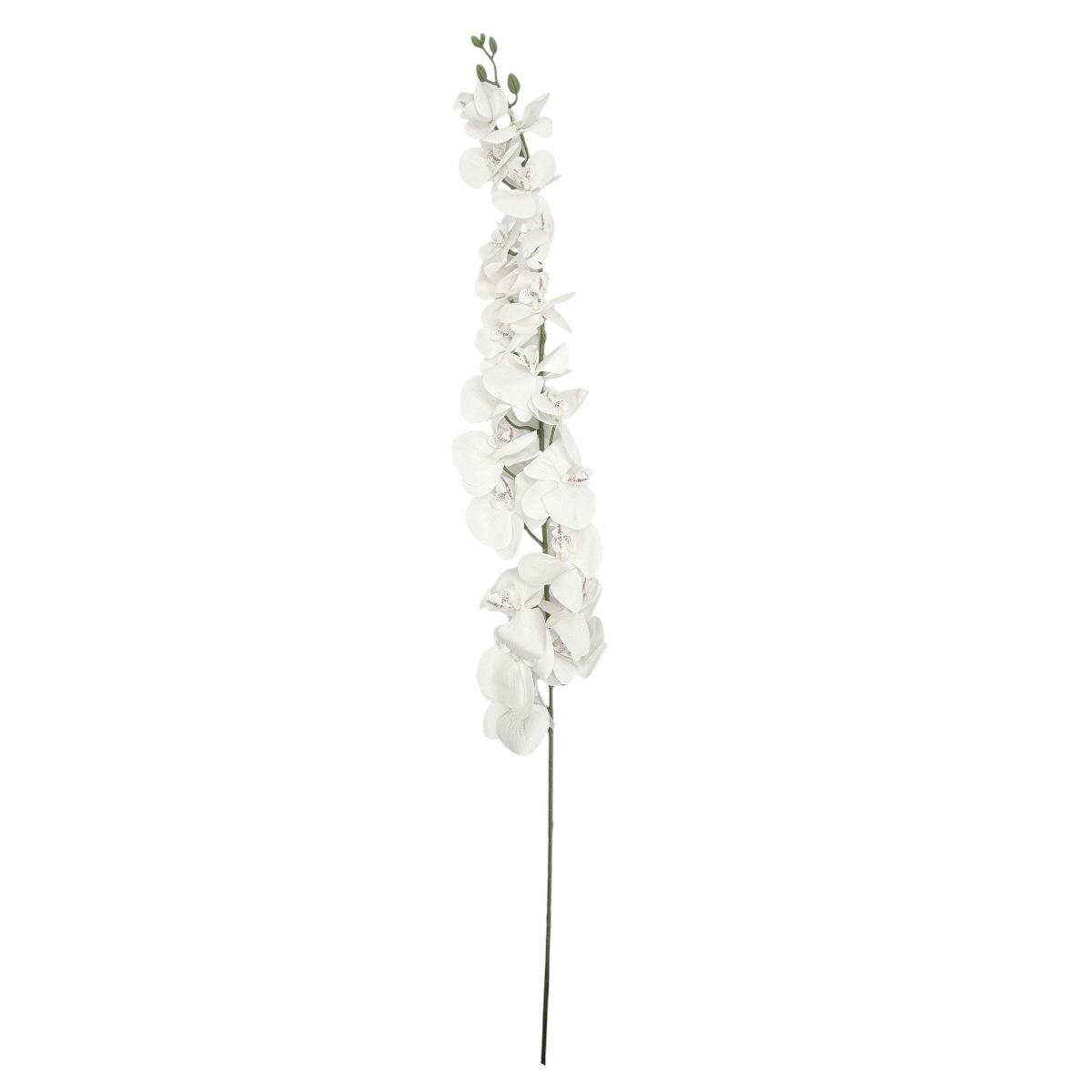 Orhidee Fir Realtouch Gigant Alb 135cm