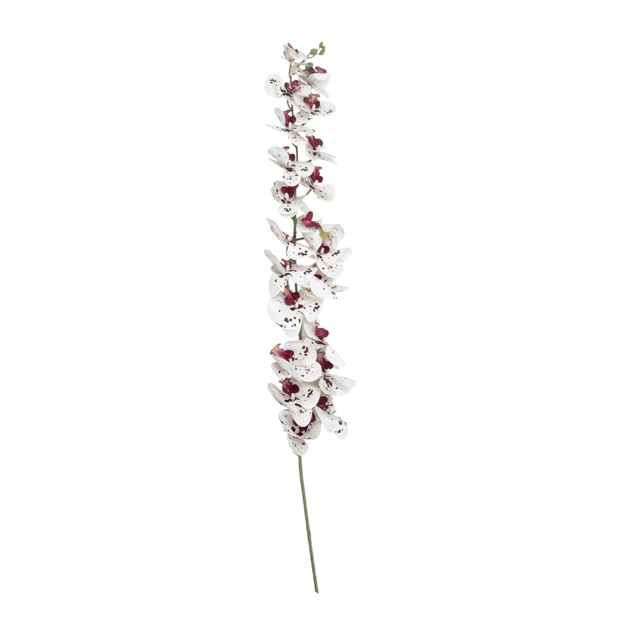 Orhidee Fir Realtouch Gigant Pestrita Alb Grena 135cm