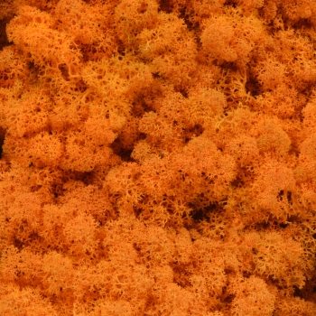 Licheni natural 500gr portocaliu AFO