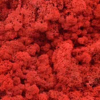 Licheni natural 500gr rosu standard