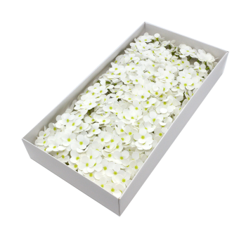 Set 36 ramuri hortensie sapun alb