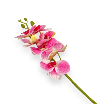 Fir orhidee siliconata Moth roz alb