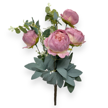 Buchet 6 Bujori Premium Roze cu Crem