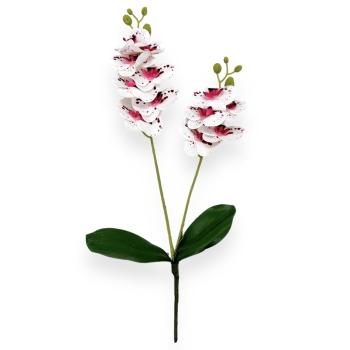 Fir orhidee dublu  Karin Aloha Mare alb rosu inchis