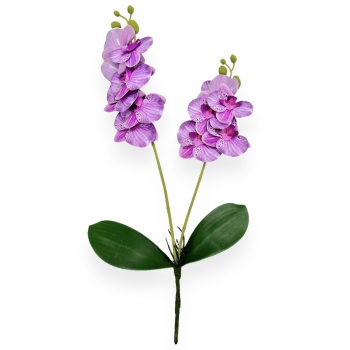 Fir orhidee dublu  Karin Aloha Mare violet