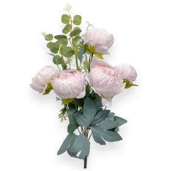 Buchet 6 Bujori Premium Roz Pal