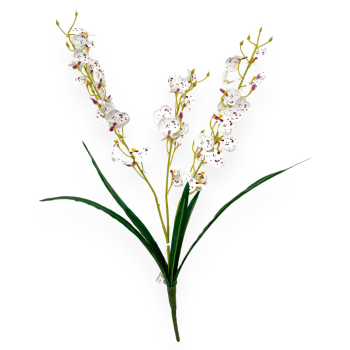 Buchet 3 Fire Orhidee Cambria cu Frunze Alb cu Marsalla