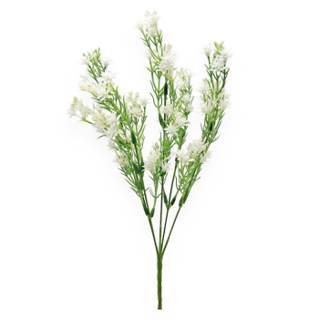 Buchet 5 Fire Stargreen Alb