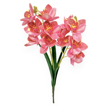 Buchet 2 Fire Orhidee Cymbidium cu Frunze Roze cu Galben