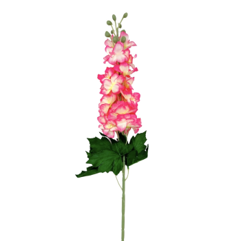 Fir Delphinium Siclam cu Galben Fresh