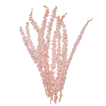 Buchet Eucalipt baby 68cm roz