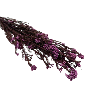 Buchet Floare de Orez 60-65cm Violet