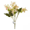 Flori Buchet Gypsophila Repens Rosea frez AFO