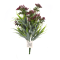 Buchetel mixt kalanchoe cu velener visiniu
