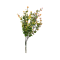 Buchet fir Buxus verde cu roz