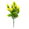Buchet trachelium galben