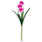 Buchet orhidee alb siclam