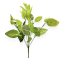 Buchet Artificial de Fittonia 7 Fire