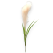 Buchet artificial 9 fire Pampas frez