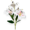 Buchet 5 Crini Imperiali roz cu alb