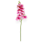 Fir orhidee siliconata Phalaenopsis Pestrita Alb cu Siclam