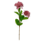 Fir Artificial Allium cu 2 Flori Burgundy