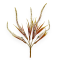 Buchet Artificial 5 Fire Millet Alb