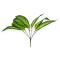 Buchet 7 Fire Verdeata Artificiala Dieffenbachia