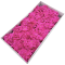 Set 25 ramuri Hortensie Mare de sapun Roz Intens