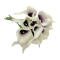 Buchet 10 fire Cala Lily siliconat Ivory Marsalla
