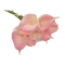 Buchet 10 fire Cala Lily siliconat Roz Crem