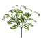 Buchet Artificial Polka Tradescantia Verde cu Alb
