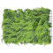 Panou Verdeata 60cm x 40cm - Cod 21-256