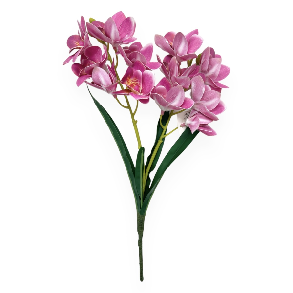 Buchet 2 Fire Orhidee Cymbidium cu Frunze Siclam